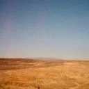 Vensun Free Signals