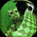 just a /fluke ✦ discord icon