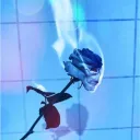 project rose [in dev]