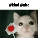 spinny kitty!