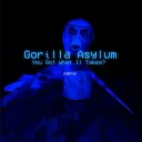 Gorilla Asylum