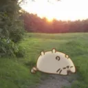 @pusheen,  #rvmp