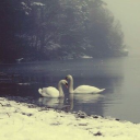 Rp partner search ☆ Discord server icon