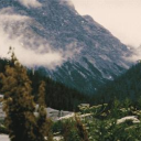 🌲𖠰 Woodland 𖠰🌲 Discord server icon