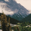 🌲𖠰 Woodland 𖠰🌲 Discord server icon