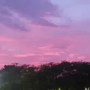 Cloudlit rose