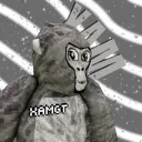 Xam's Hideout