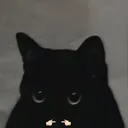 Bibiela