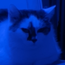 Pierre's showcase Corner Discord server icon