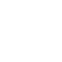 The White Rabbit