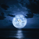 Midnight Discord server icon