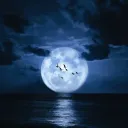 Midnight Discord Server Icon