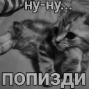 Анальные волки
