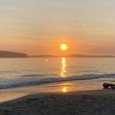 Raw Primal Community 🥩