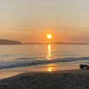 Raw Primal Community 🥩