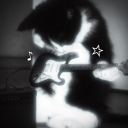 Transdorks Discord server icon