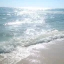 °‧ | ocea