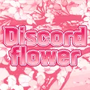 𝑫𝒊𝒔𝒄𝒐𝒓𝒅 𝒇𝒍𝒐𝒘𝒆𝒓