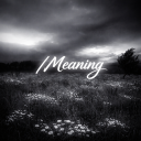 life has no /meaning Discord server icon