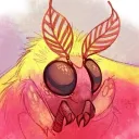 𝐏𝐫𝐨𝐣𝐞𝐜𝐭 𝐂𝐢𝐫𝐜𝐮𝐬