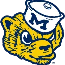 Michigan Wolverines/Vikings