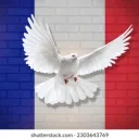 Friends-France-Support