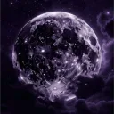 ♡ 𝒩𝑜𝒸𝓉𝓊𝓇𝓃𝒶 ♡