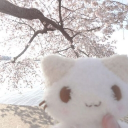 ✦ The Stars Collide ✦ Discord server icon