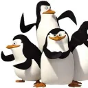 𝑷𝒆𝒏𝒈𝒖𝒊𝒏𝒔 𝑪𝒐𝒎𝒎𝒖𝒏𝒊𝒕𝒚 🐧