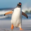 The Funtime Sentinel