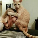 Bots server Discord server icon