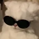 ✩𝐌𝐞𝐨𝐰 𝐑𝐞𝐚𝐥𝐦✩