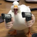 Empire of Duckingdom