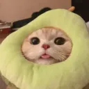 😺WANWANSZ😺