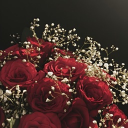 ⋆˚࿔  𝜗↷🌹Rose Cove🌹𝜚˚⋆ Discord server icon