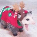 ╍𖠰 Artist forest 𖠰╍