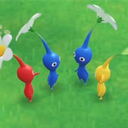 Server Icon