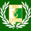 Ultras Chemie Leipzig | DFU