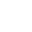 Vice Developments