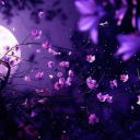 💫 𝓜𝓸𝓸𝓷𝓵𝓲𝓰𝓱𝓽 𝓒𝓪𝓯𝓮 Discord server icon