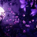💫 𝓜𝓸𝓸𝓷𝓵𝓲𝓰𝓱𝓽 𝓒𝓪𝓯𝓮