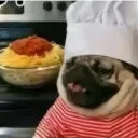Pug likes scrims