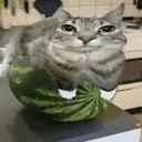 Fuck lone Discord server icon