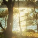 /rootbound | wlw server icon