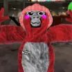 FFR VR