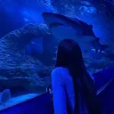 /Jelly's Currents