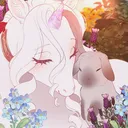 Bun & Mare Haven