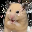 ˚ ༘♡ ·˚꒰𝑮𝒍𝒊𝒎𝒎𝒆𝒓. 𝑾𝒊𝒔𝒉꒱ ₊˚ˑ𓆩ᥫ᭡𓆪
