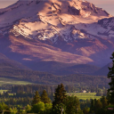 raven's ridge ⋆ a queer friendly 18+ RP Discord server icon