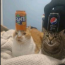 OG GAMBIACORD | PMO TAG